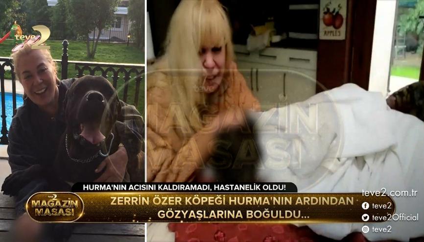 zerrin ozer haberleri son dakika zerrin ozer hakkinda guncel haber ve bilgiler