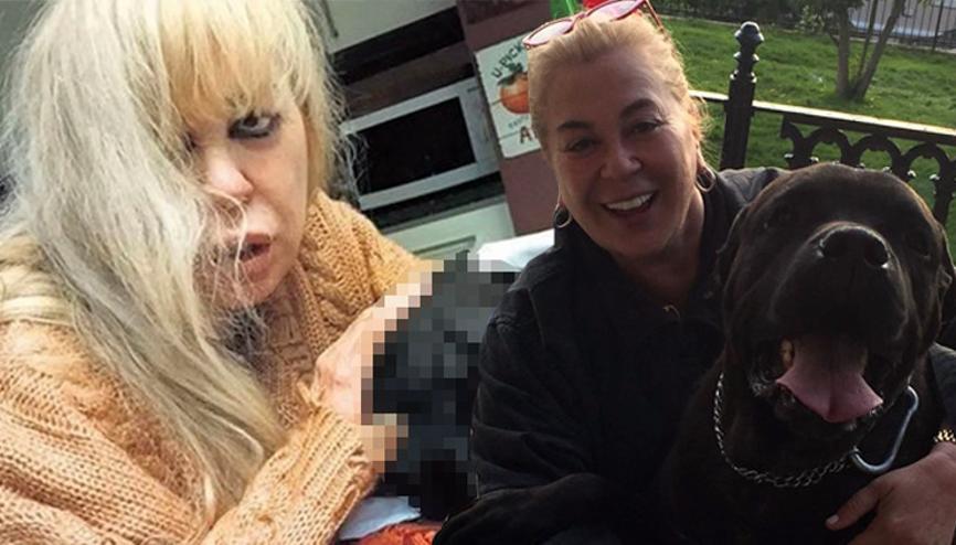 zerrin ozer haberleri son dakika zerrin ozer hakkinda guncel haber ve bilgiler