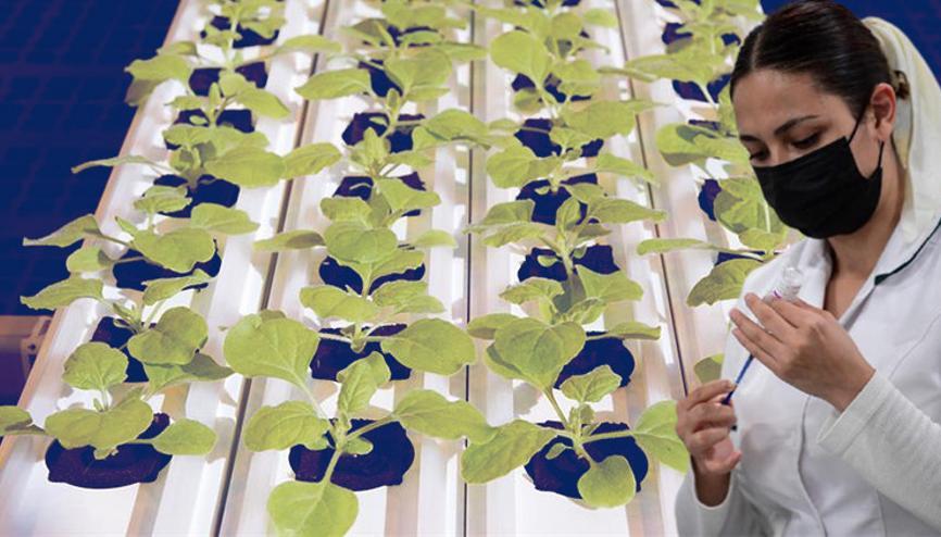 kanada haberleri son dakika kanada hakkinda guncel haber ve bilgiler