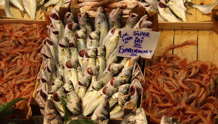 balik fiyatlari haberleri son dakika balik fiyatlari hakkinda guncel haber ve bilgiler