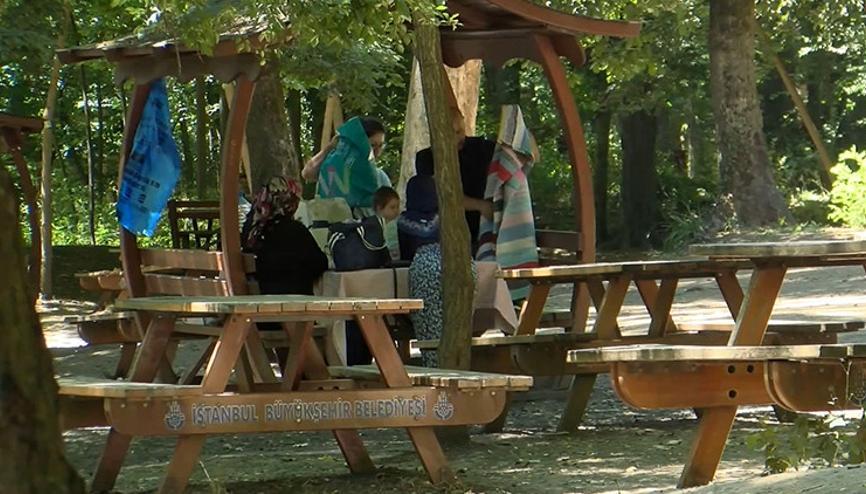Valilik duyurnuştu İstanbulda ormanlarda ateş yakma yasağı başladı Valilik duyurnuştu İstanbulda ormanlarda ateş yakma yasağı başladı