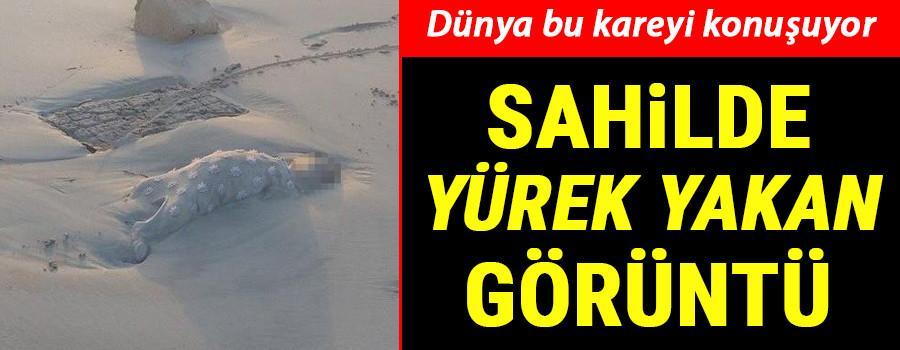 Dünya bu fotoğrafı konuşuyor... Cansız bedenleri sahile vurdu